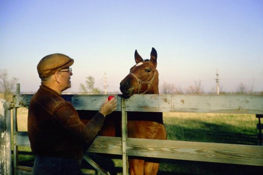 Herman Sr