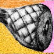 Shawn Denholm profile image