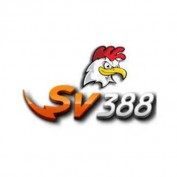 sv388ltda profile image