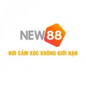 co8new88 profile image
