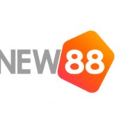 new88hn profile image
