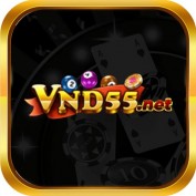 vnd55net profile image
