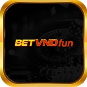 betvndfun1 profile image