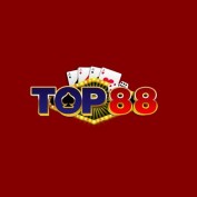 top88vision profile image