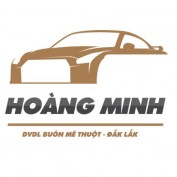 DVDLHOANGMINH profile image
