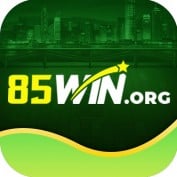 win85wintop85 profile image