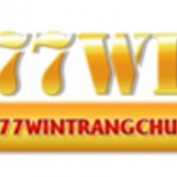 wintrangchu profile image