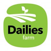 dailies profile image