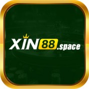 xin88space profile image