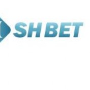 shbet1cfd profile image