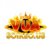 vuasoikeous profile image