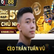 ceotrantuanvu1 profile image