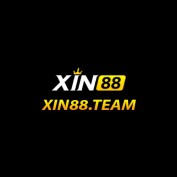 xin88team profile image