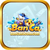 bancah5comcom profile image
