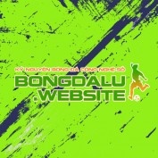bongdaluwebsite1 profile image