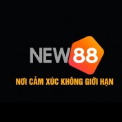 new889b1 profile image