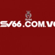 sv66comvc profile image