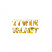 winvnnetlink profile image