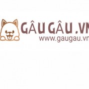gaugauvn profile image