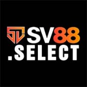 sv88select profile image