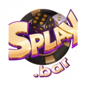 splaybar profile image