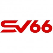 sv66voto profile image