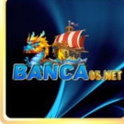 banca05net profile image