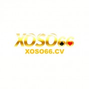 xoso66cv profile image