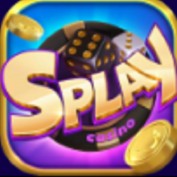 splaycasino profile image
