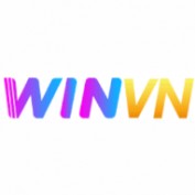 winvnnl profile image