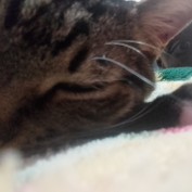 Ariel Mae profile image