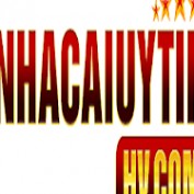nhacaiuytinhv profile image