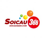 soicau366shcom profile image