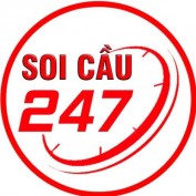 soicaumienbac247 profile image