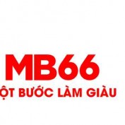 mb66v11com profile image