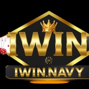 iwinnavy1 profile image