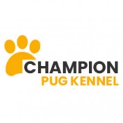 championpugkennels profile image