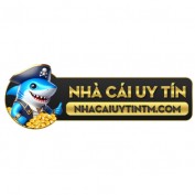 nhacaiuytintm profile image
