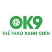 ok9vi9 profile image