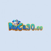 banca30cc profile image