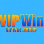 vipwingroup profile image