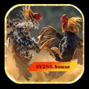 sv288housevn profile image