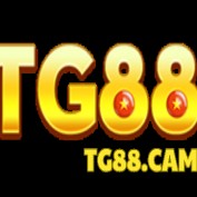TG88 cam profile image