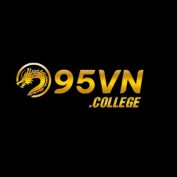 vn95college profile image