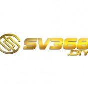 sv368diy profile image