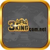 net3kingcom profile image