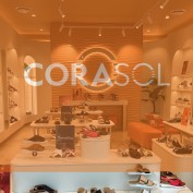 corasollowheels profile image