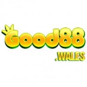 good88wales profile image