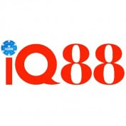 iq88org profile image