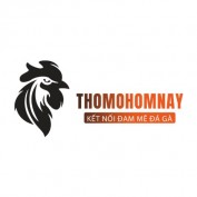 thomodagahomnay profile image